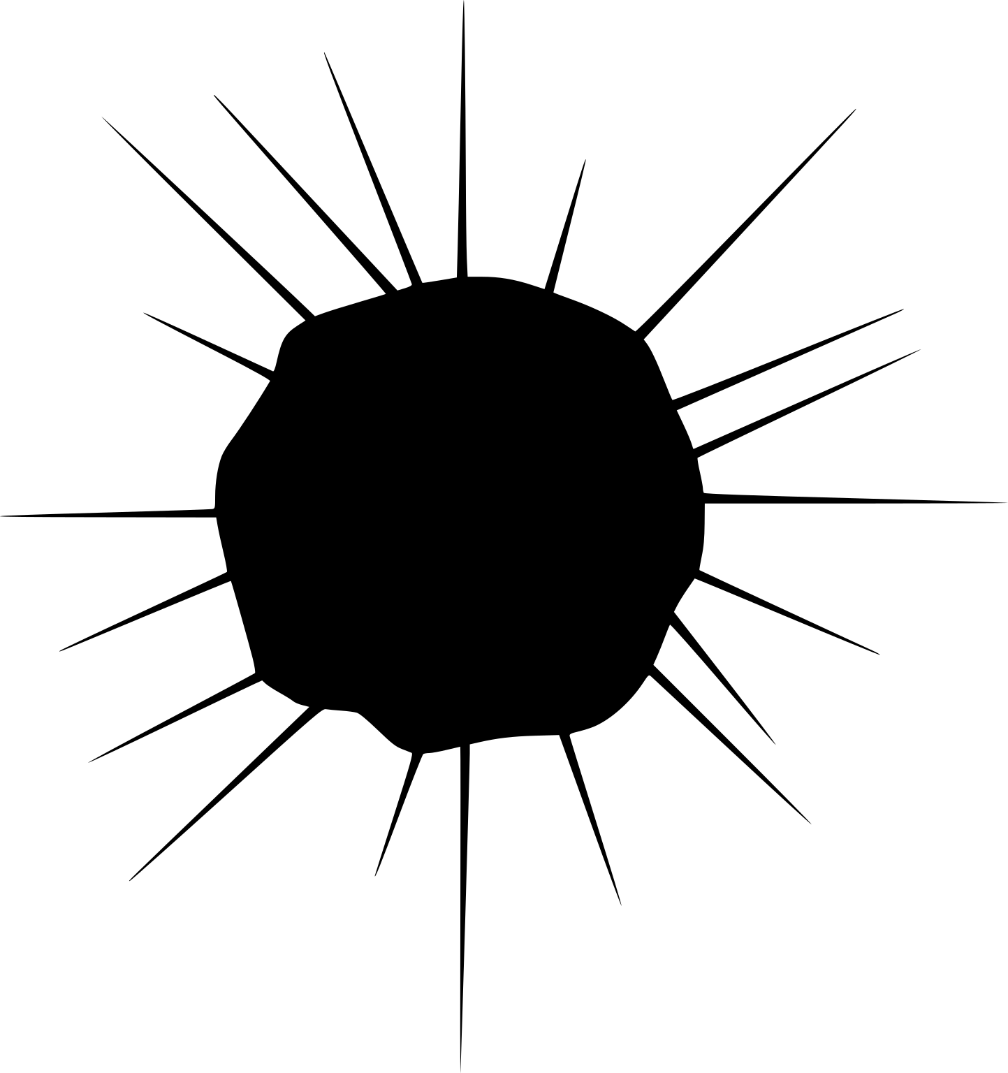 Acanthochiasma