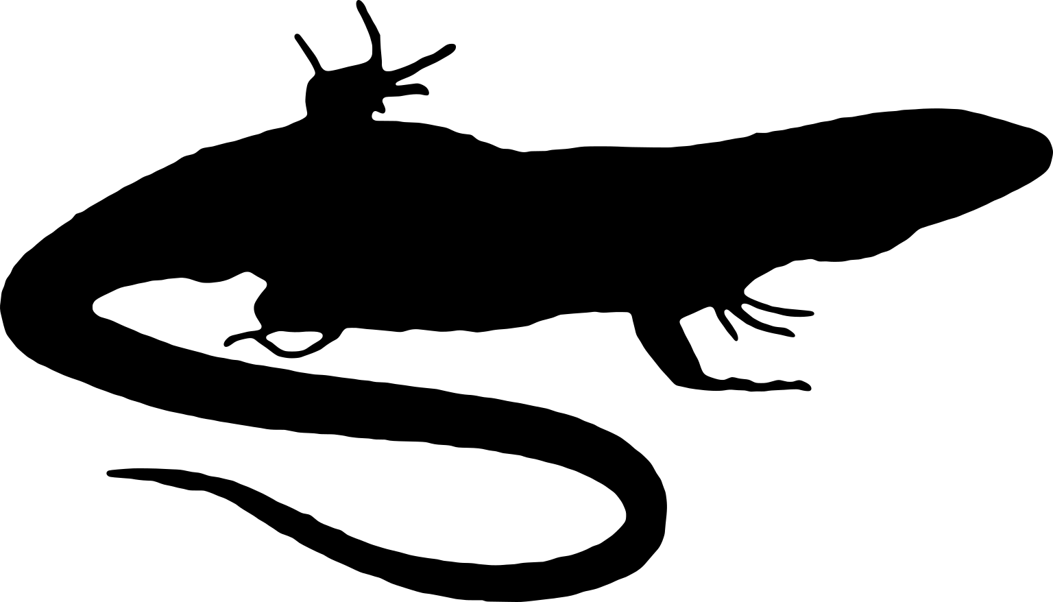 Pholidobolus vertebralis