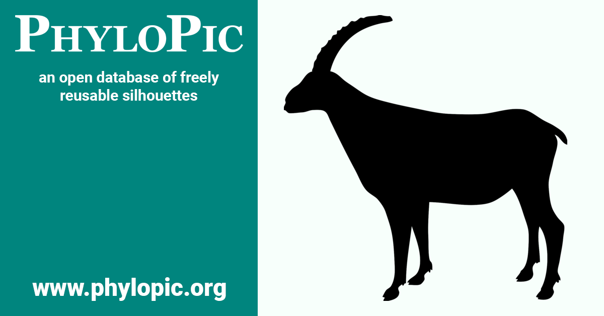 Capra ibex by Steven Traver (CC0 1.0) - PhyloPic