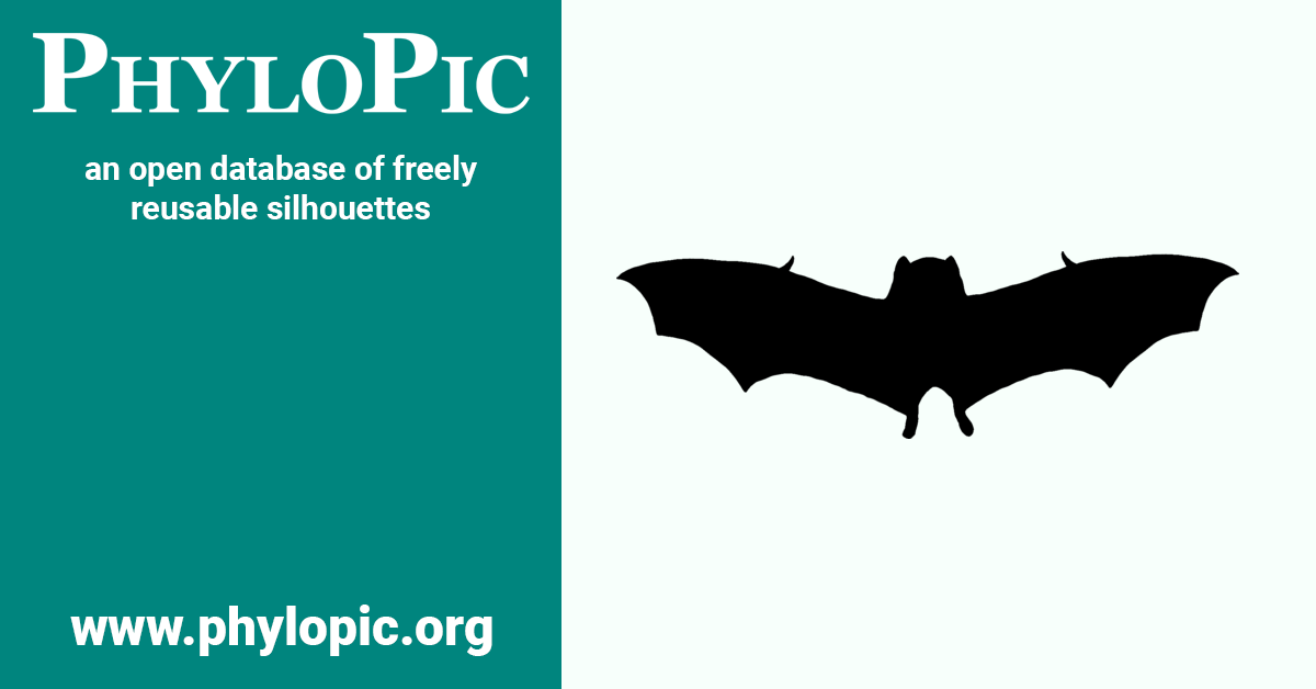 Desmodus rotundus by Gabriela Palomo-Munoz (CC BY-NC 3.0) - PhyloPic