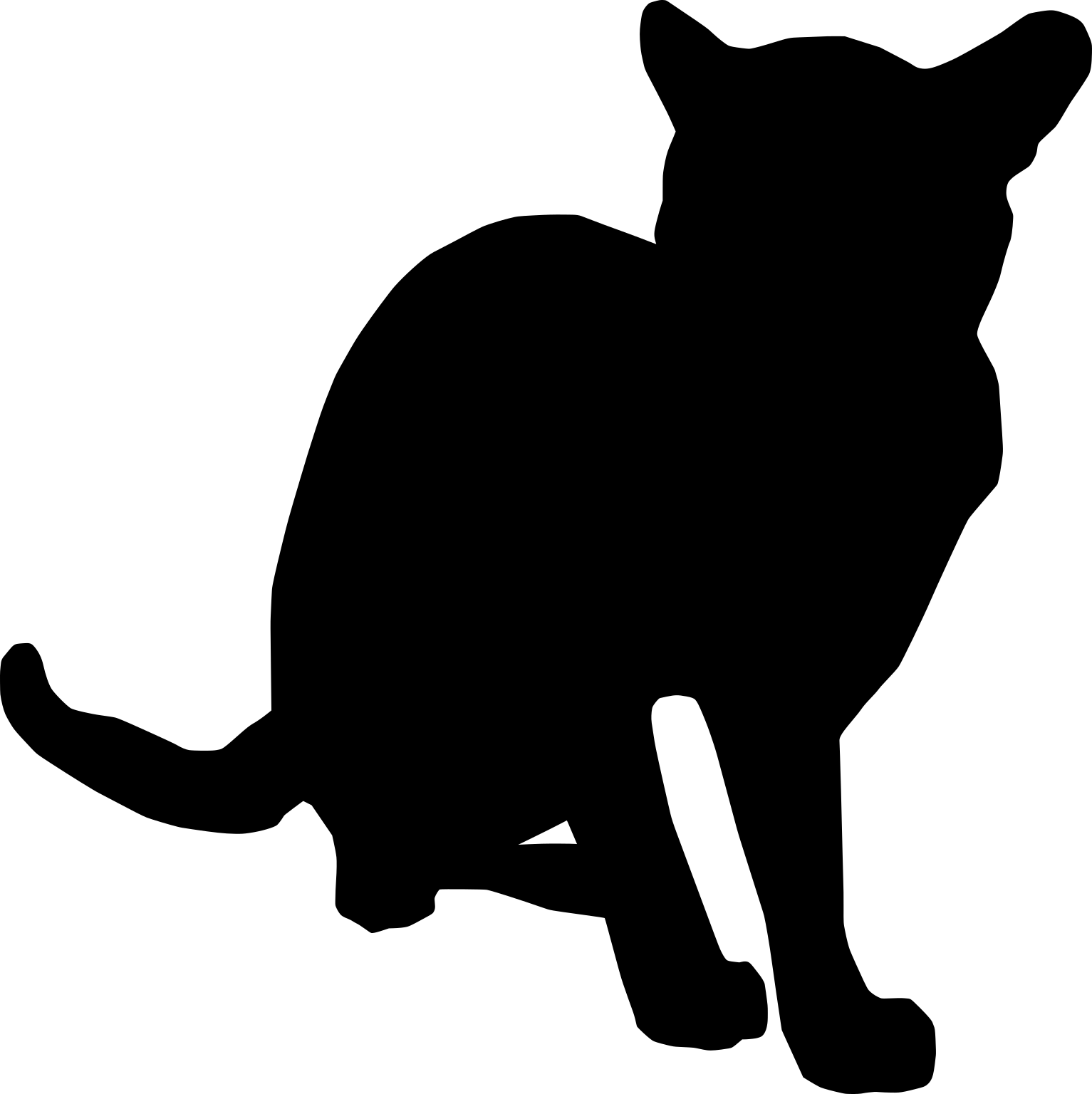 Prionailurus bengalensis