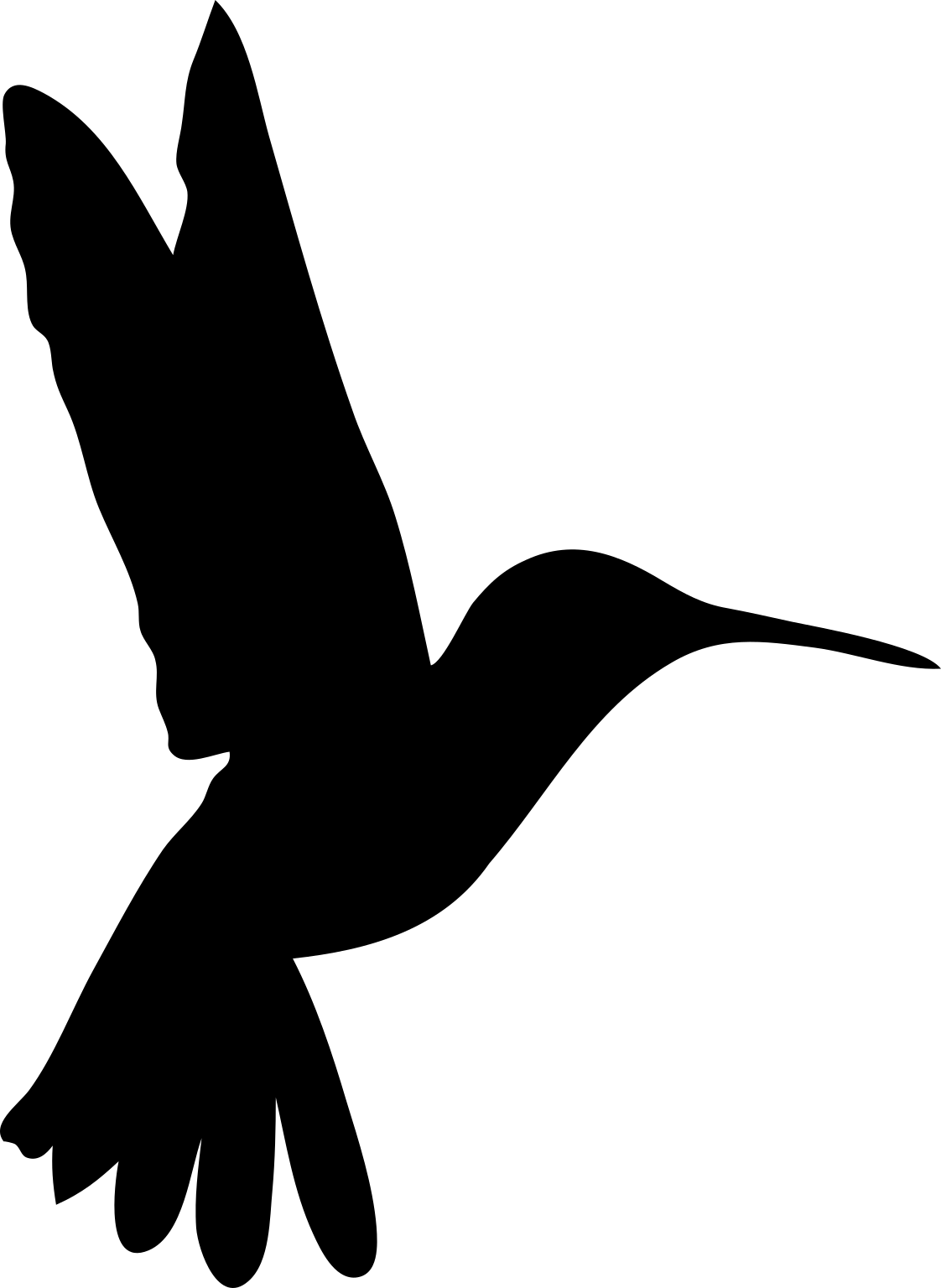 Trochilidae