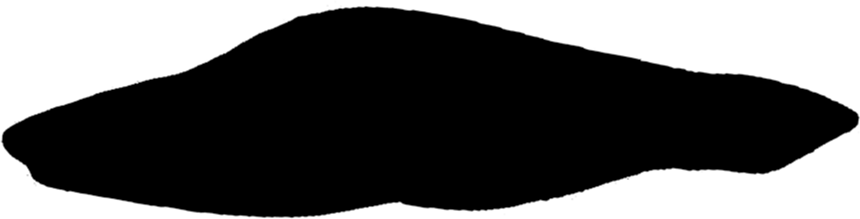 Haikouichthys ercaicunensis