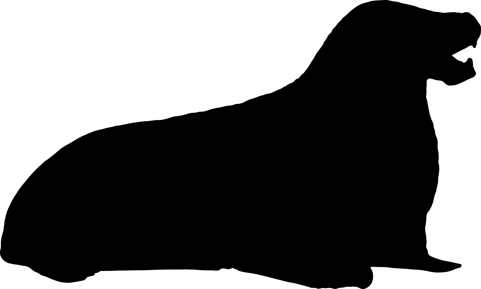 Pontolis magnus