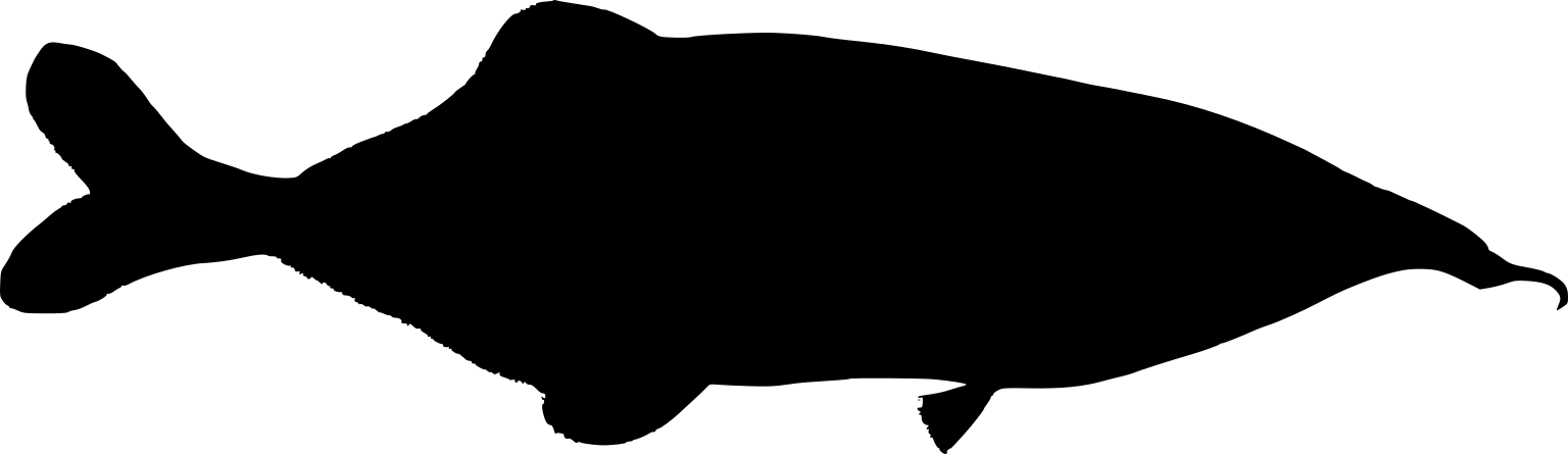 Genyomyrus donnyi