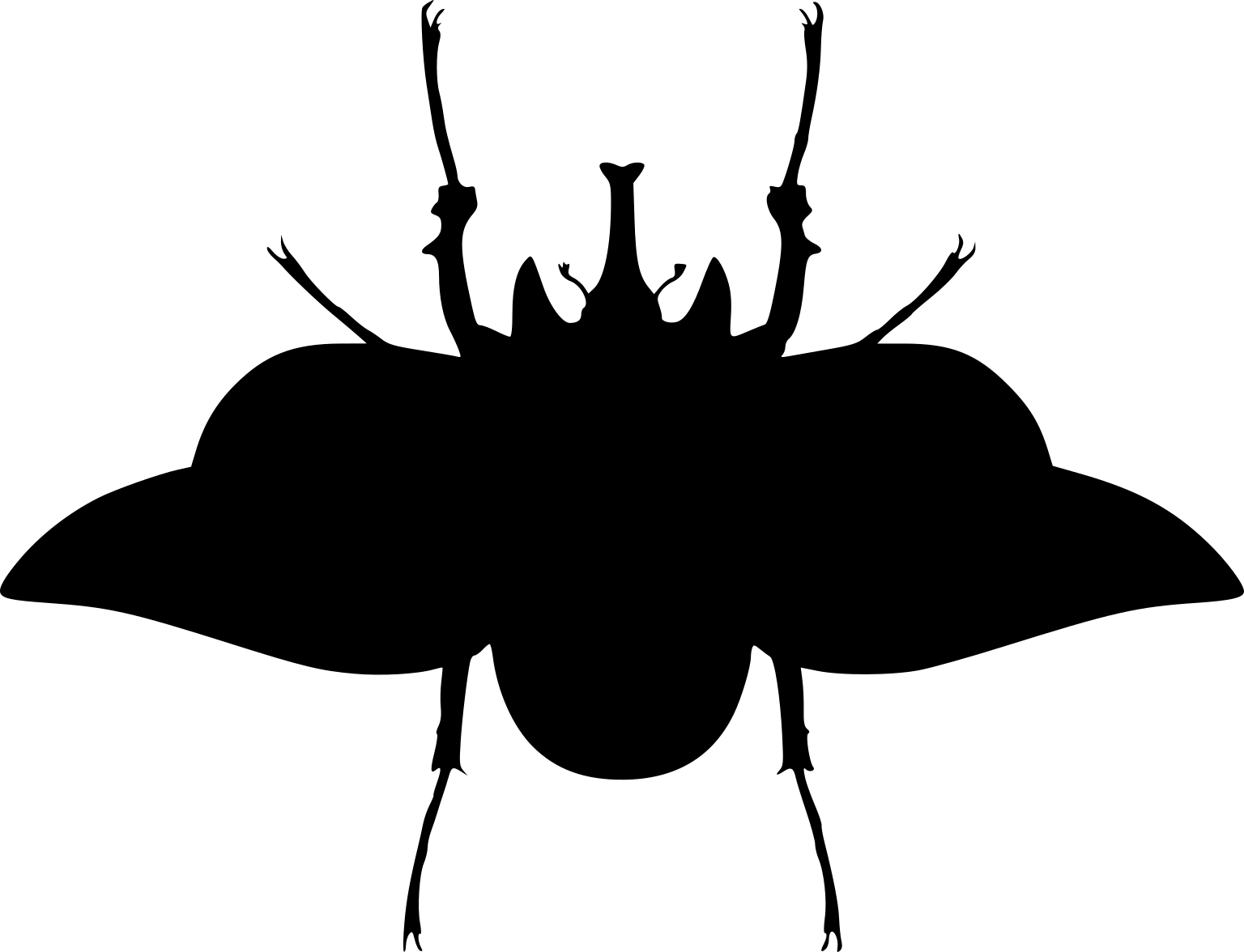 Megasoma actaeon