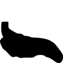 Contramyzostoma longitergum
