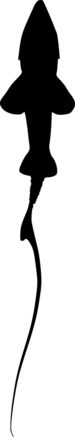 Acipenser kaufmanni