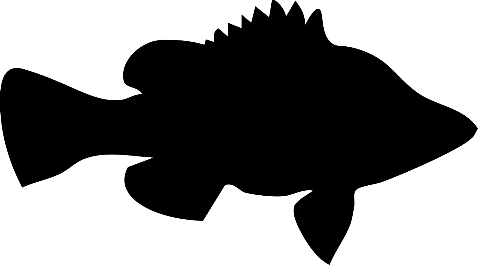 Percichthyidae