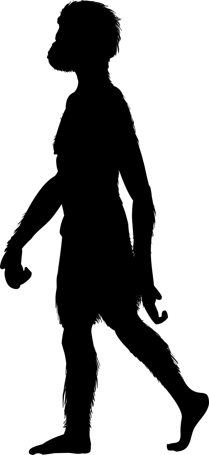 Homo floresiensis