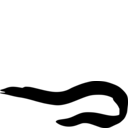 Gymnothorax polyuranodon