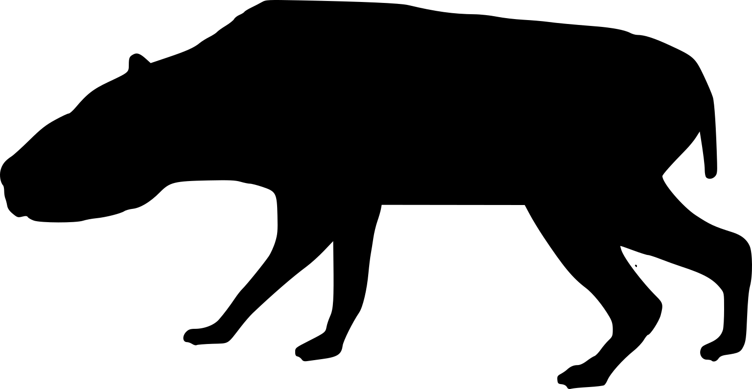Rhynchippus