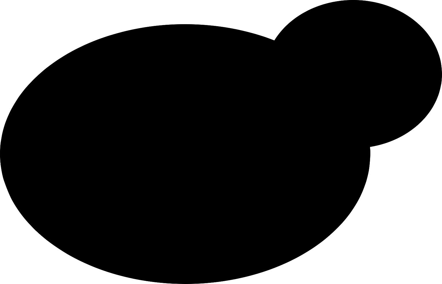 Saccharomyces cerevisiae