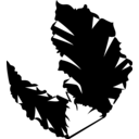 Porphyra yezoensis