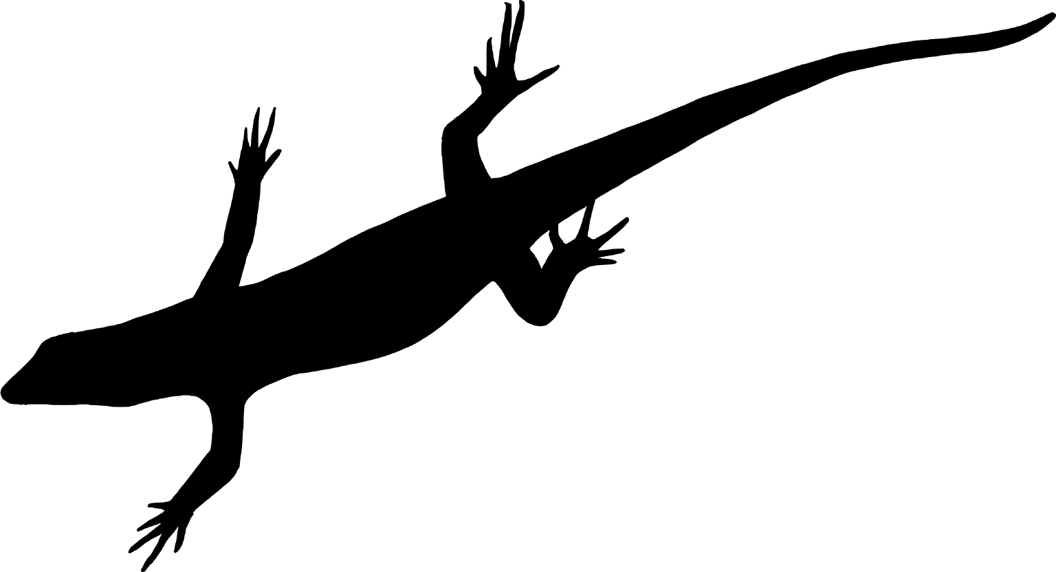 Lamprolepis smaragdina