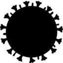 Alphainfluenzavirus influenzae