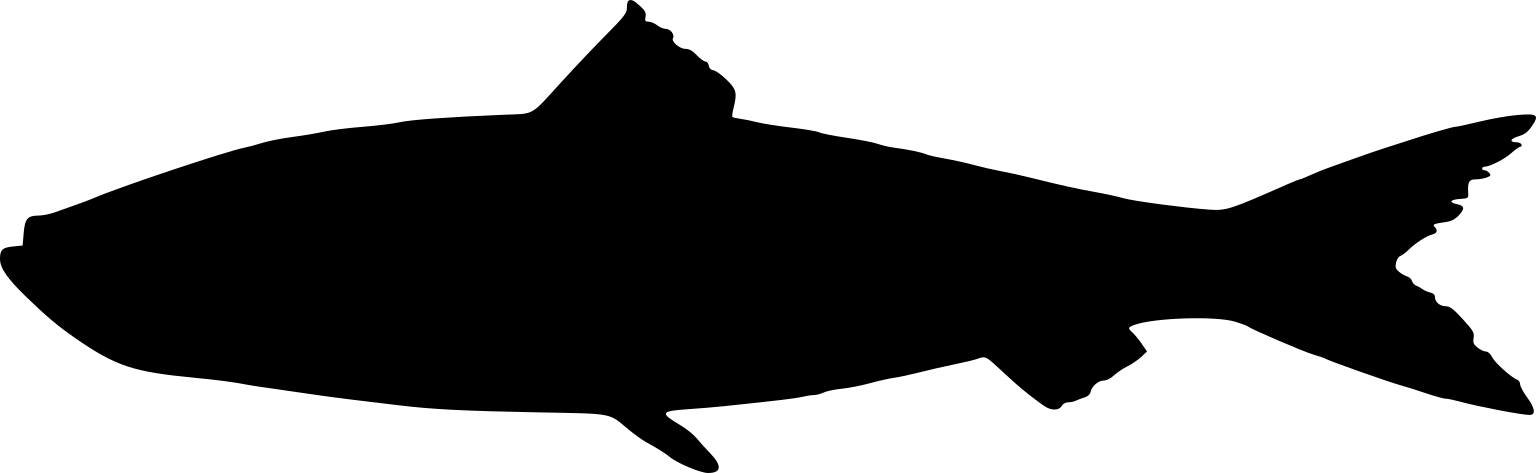 Clupea harengus