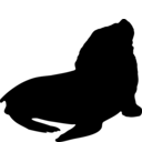 Otaria byronia