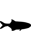 Petrocephalus bovei