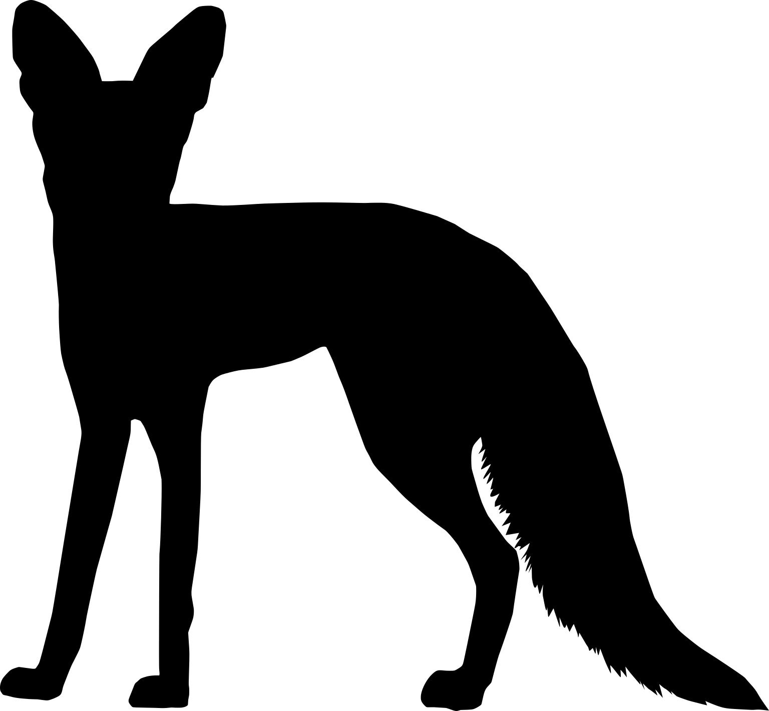 Vulpes chama