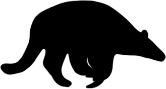 Priodontes maximus