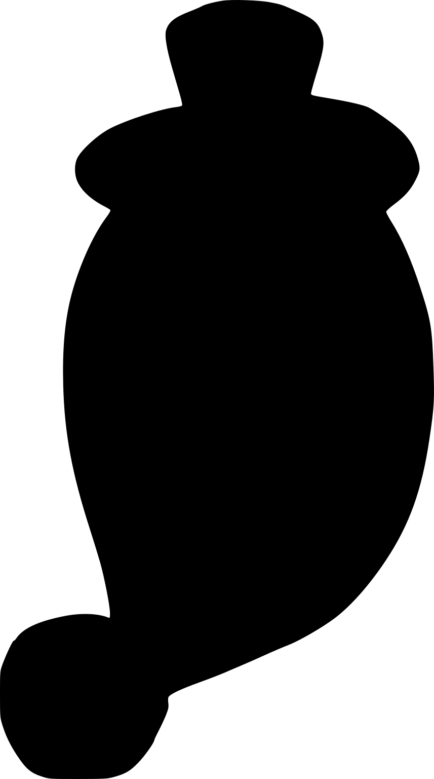 Sycon elegans