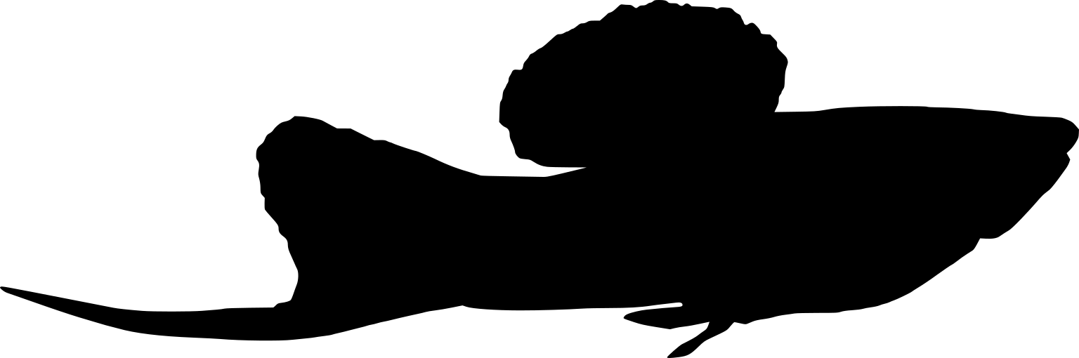 Xiphophorus nezahualcoyotl