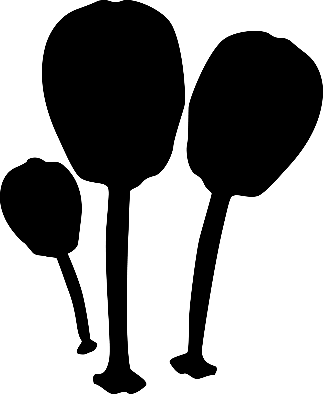 Siphusauctum gregarium