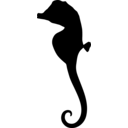 Australyichthys minotaur