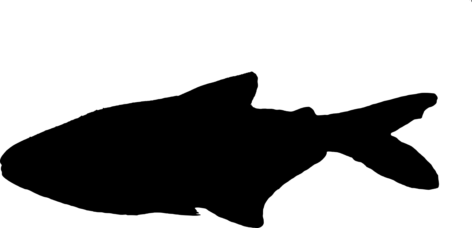 Knodus alpha