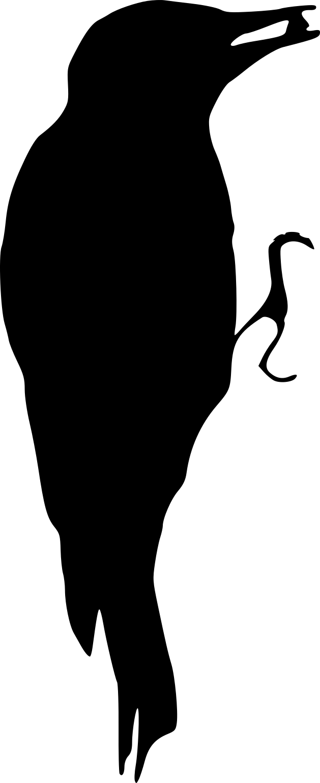 Dendrocoptes medius
