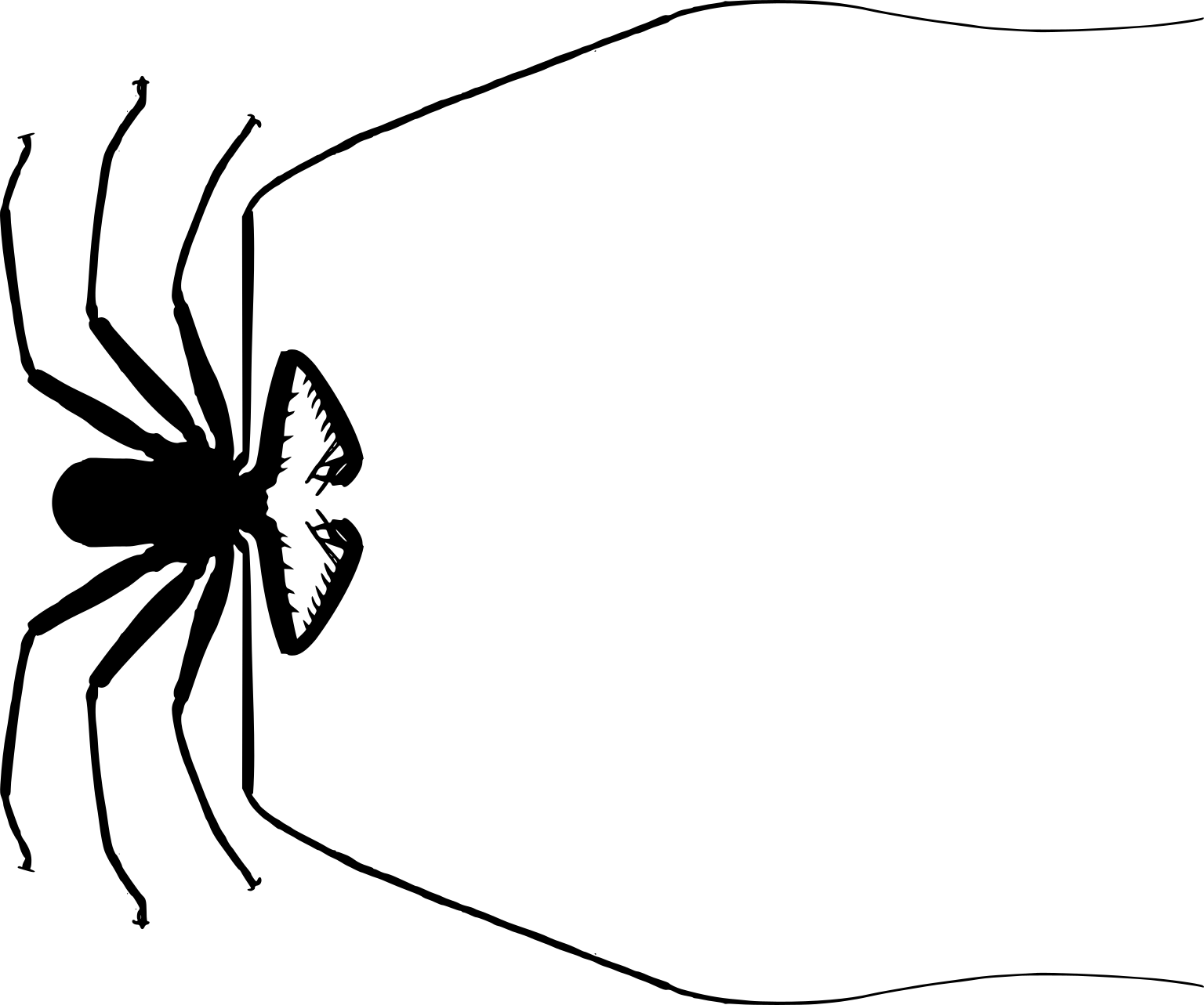 Phrynichidae