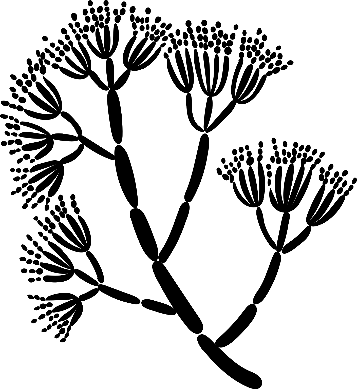 Penicillium chrysogenum