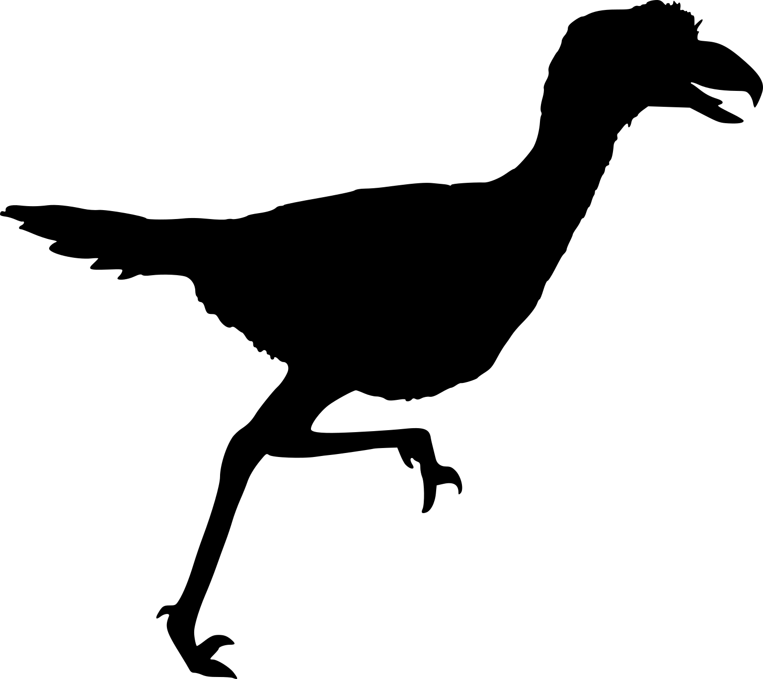 Llallawavis scagliai