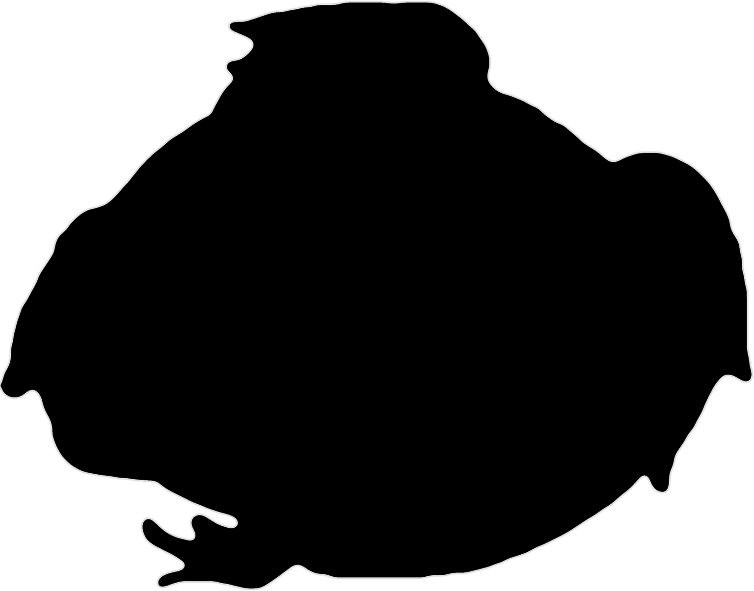 Rhinophrynus dorsalis