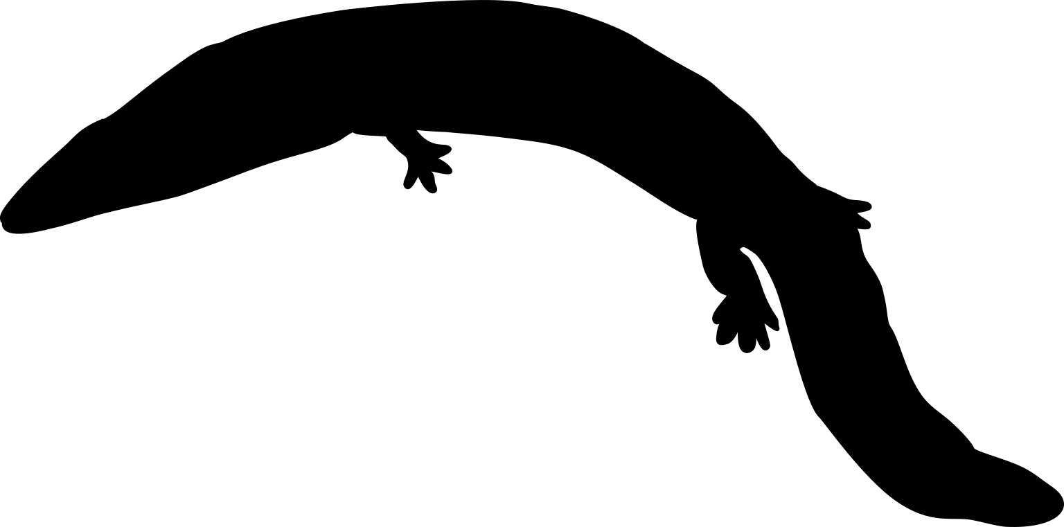 Isodectes obtusus