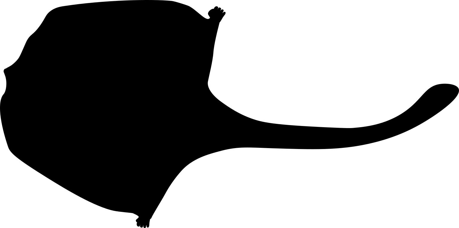 Petauroides volans