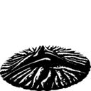 Lobodiscus tribrachialis