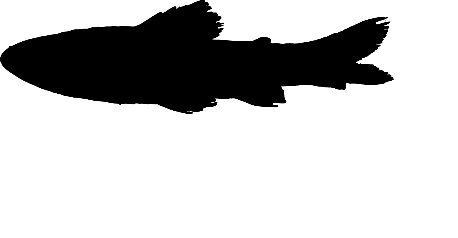 Characidium sp. G