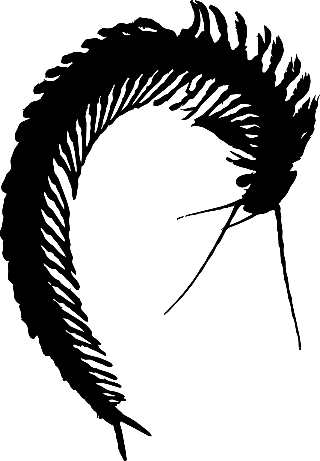 Xibalbanus tulumensis