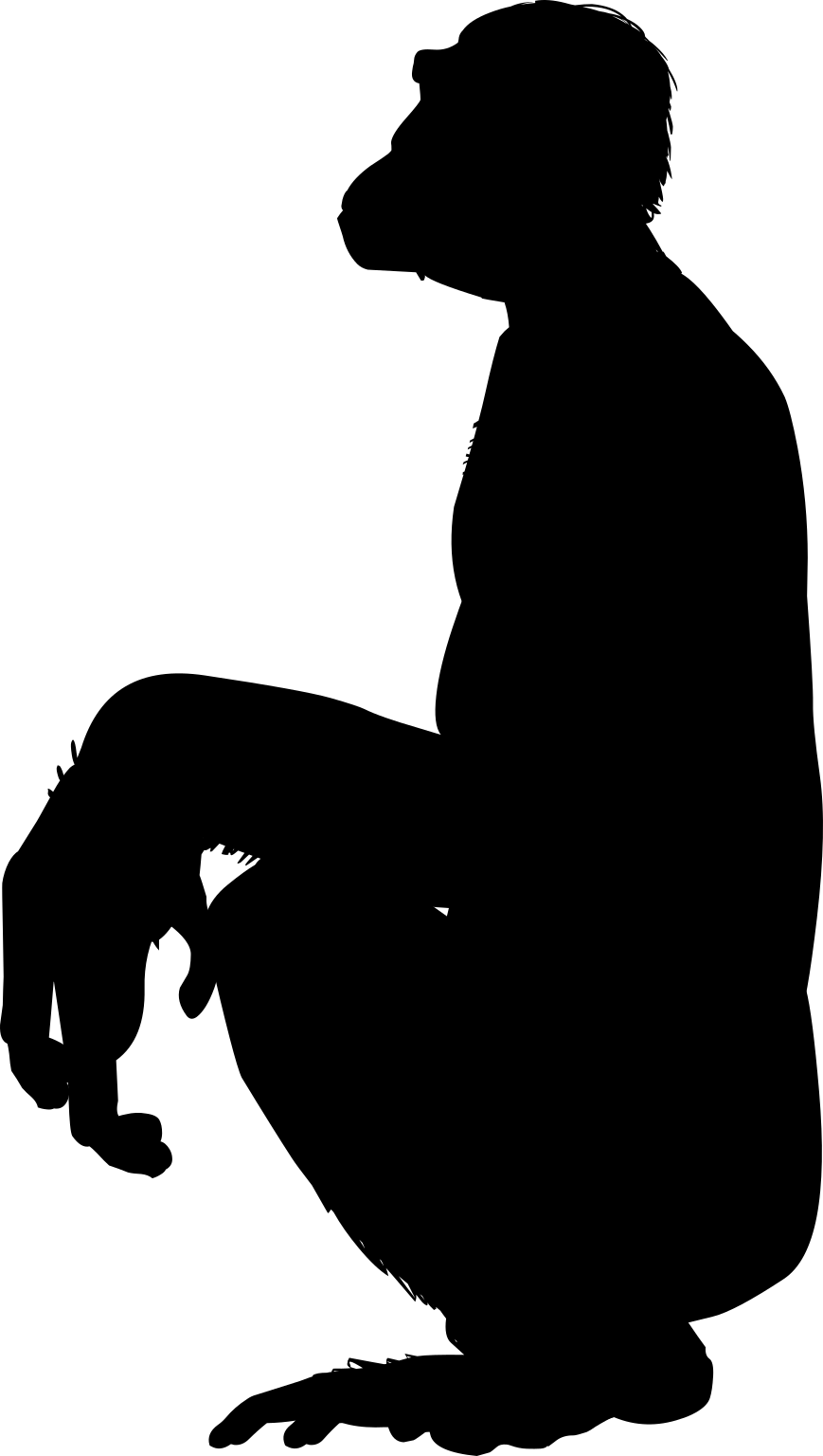 Ardipithecus kadabba
