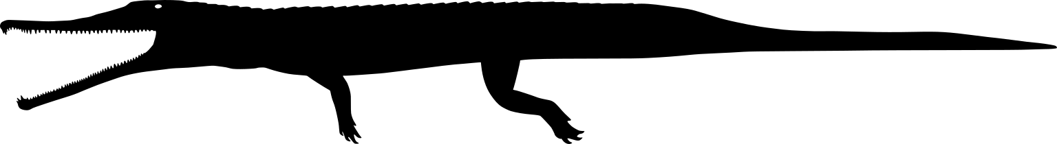 Mystriosuchus alleroq