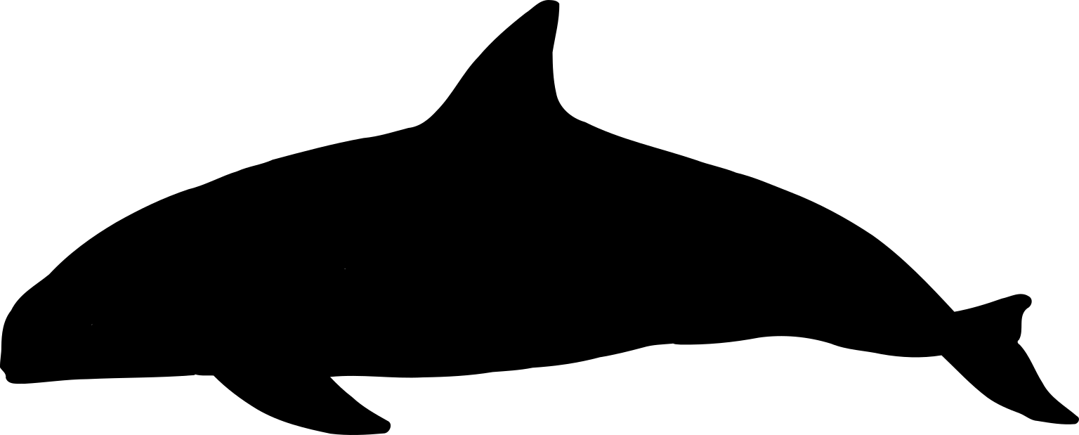 Phocoena sinus