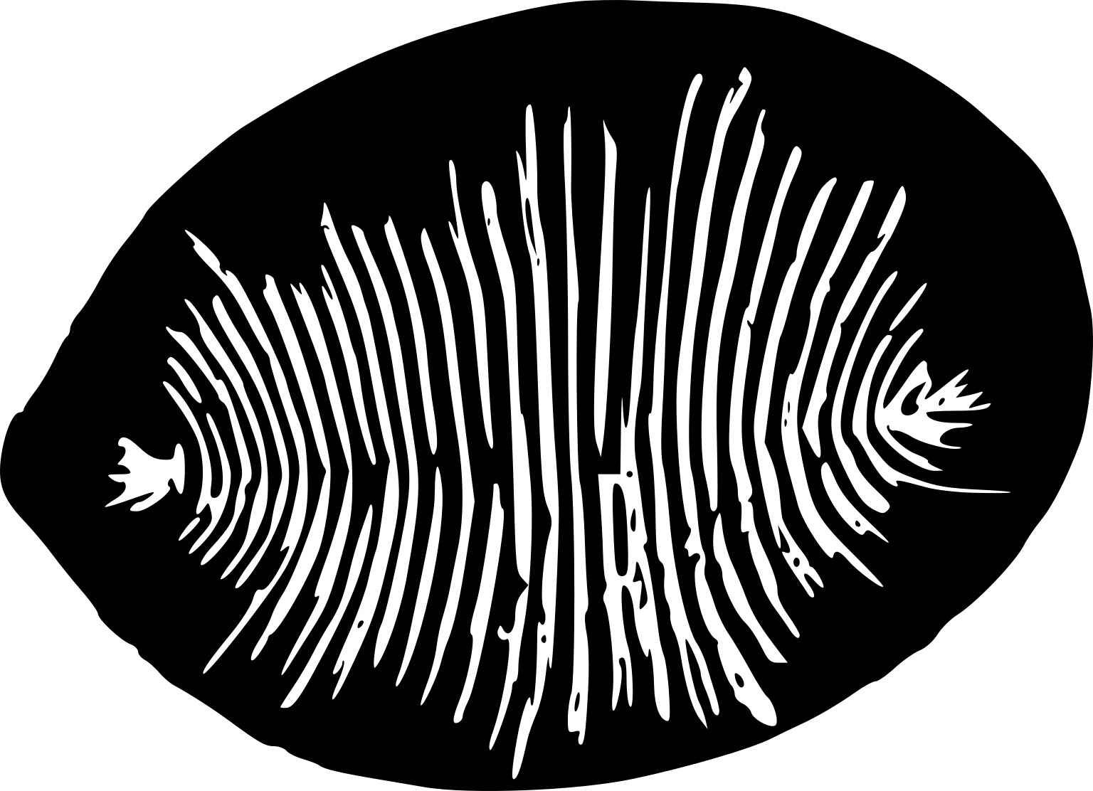 Dickinsonia