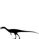 Coelophysis arizonensis
