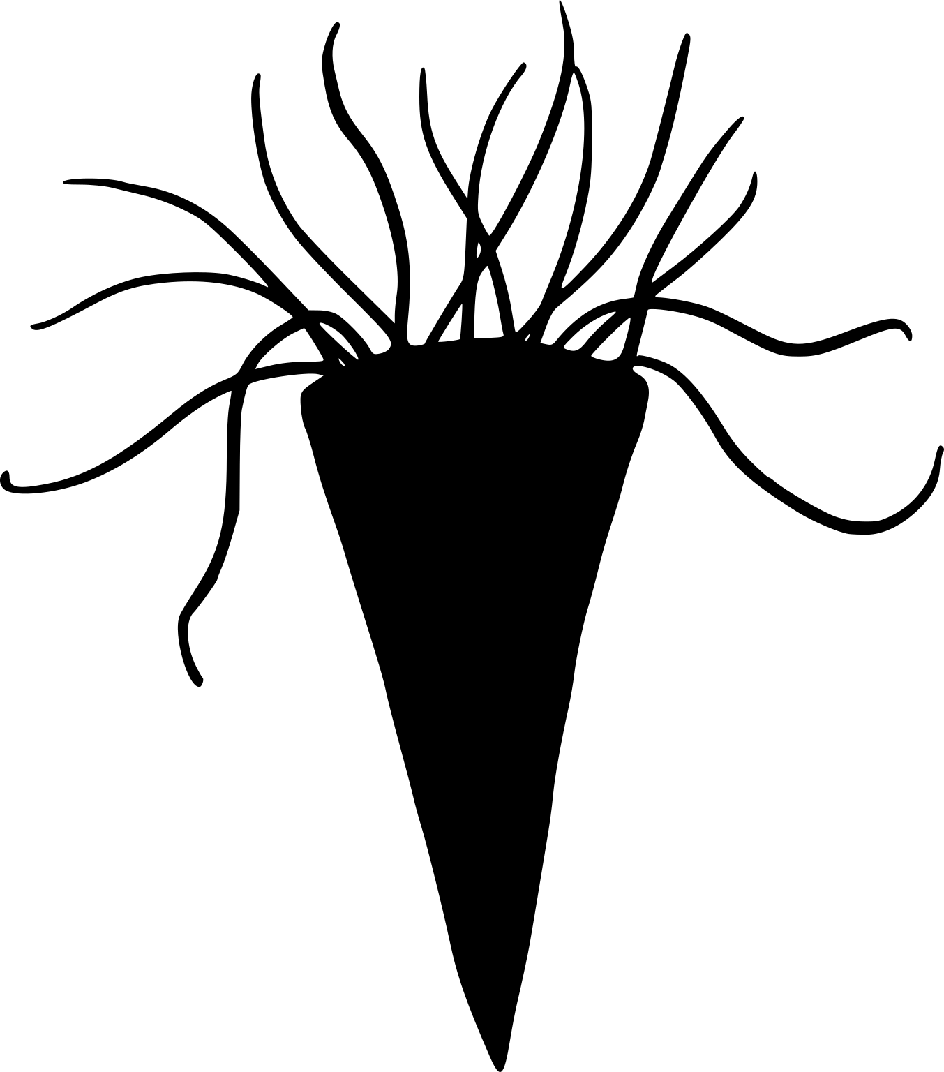 Salterella