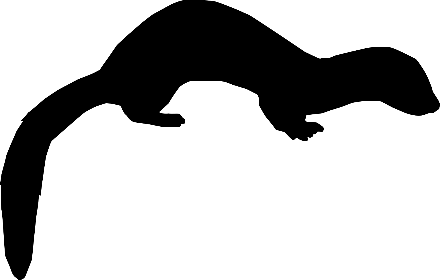 Ictonyx albinucha