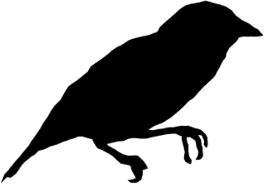 Ploceidae