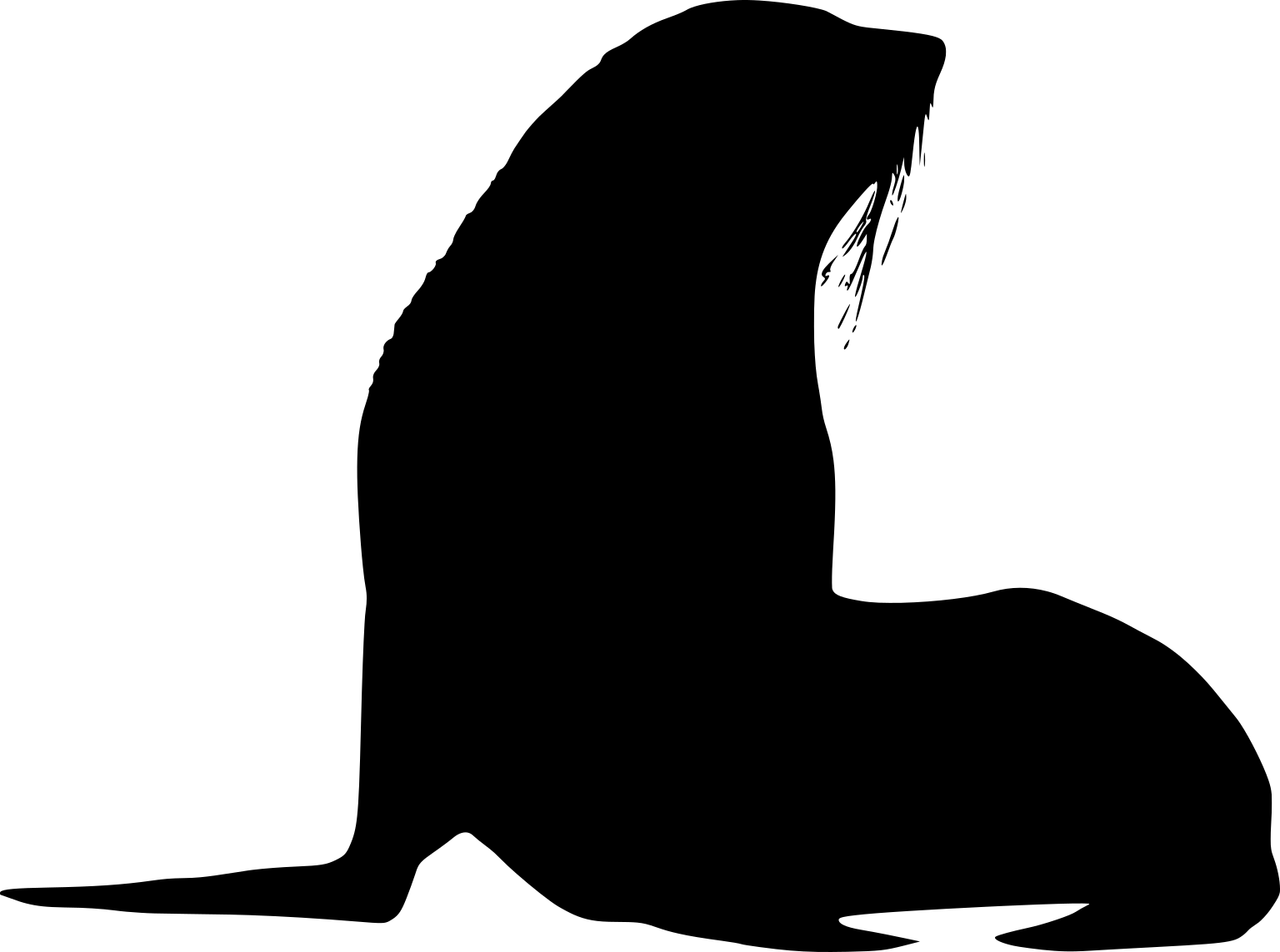 Arctocephalus gazella