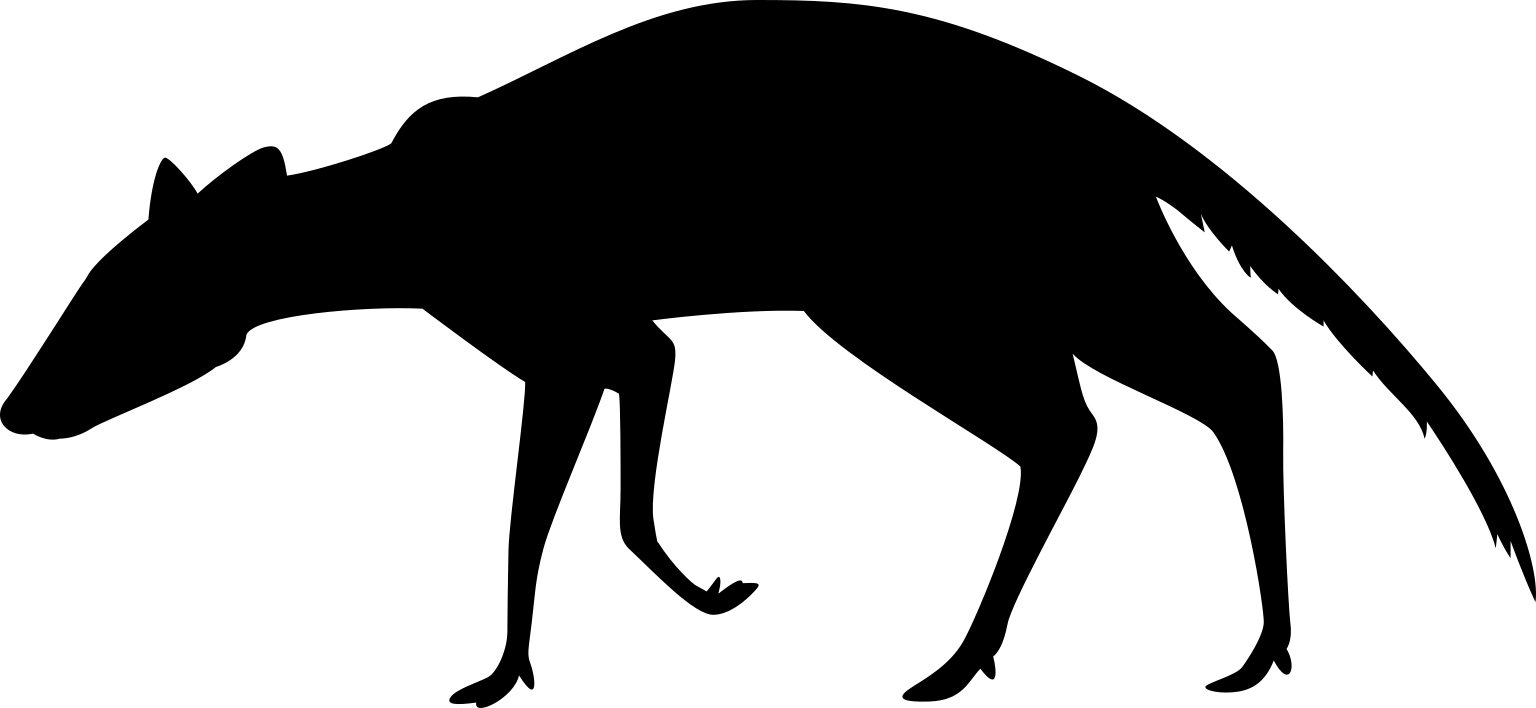 Metriotherium mirabile